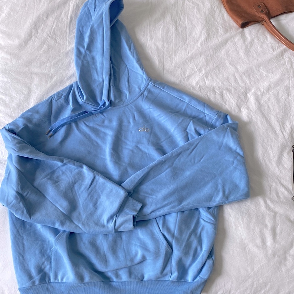 Alo oversized hoodie